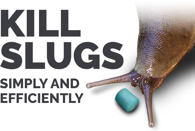Kill slugs simply and efficiently